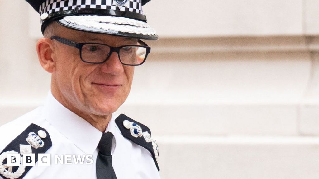 Metropolitan Police chief has concerns over rapid hiring of officers ...