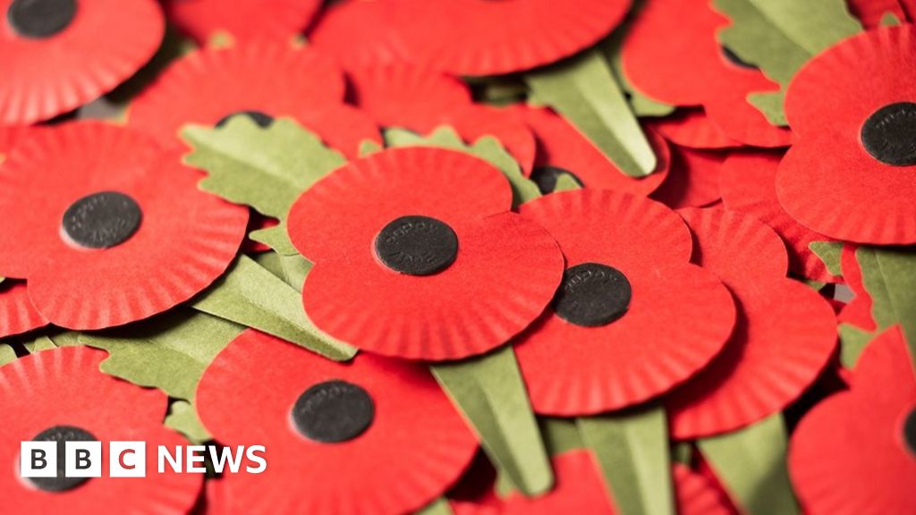 Remembrance Day Appeal Launches With Kent Made Eco Poppy Bbc News