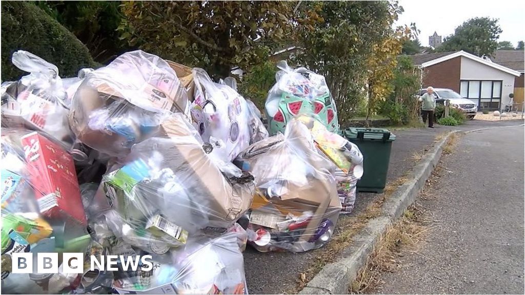 Covid, Brexit and driver shortage blamed for bin collection delays