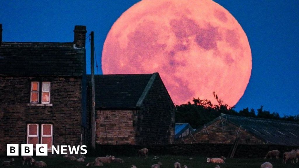 Strawberry Moon captured over England BBC News