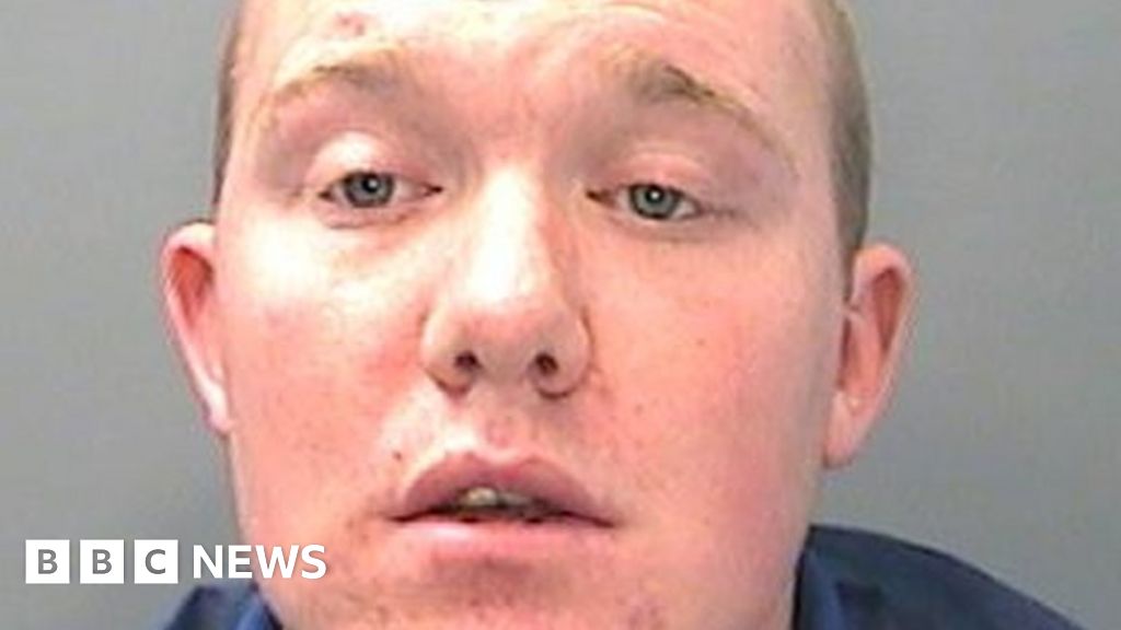 Fatal dog attack grandson Craig Greve jailed BBC News