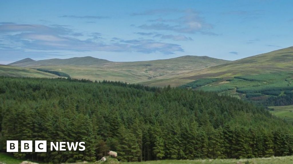 Isle of Man grants for tree planting could be rolled out