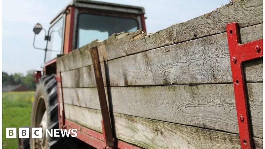 Gove backs seasonal workers scheme for UK farms after Brexit