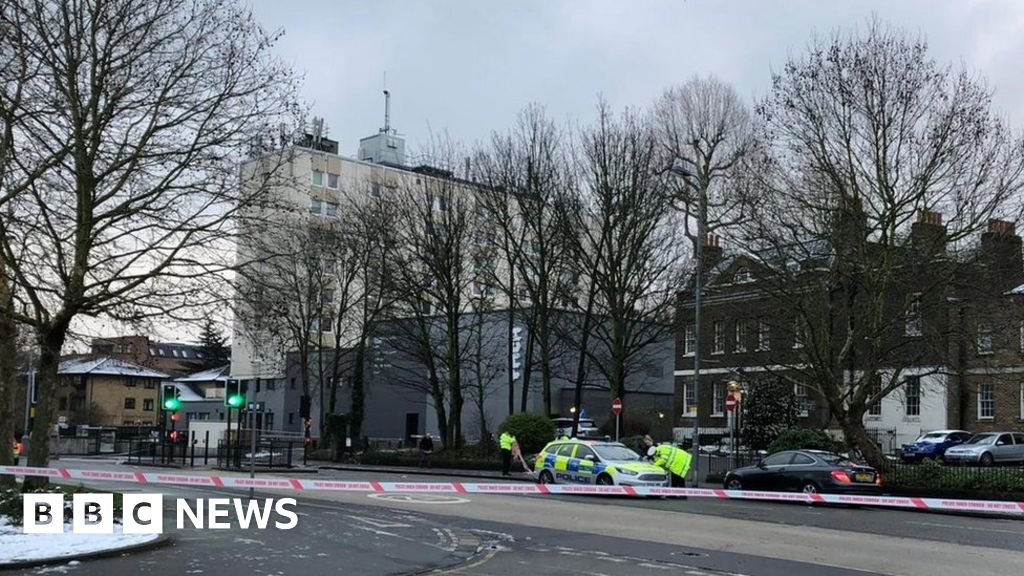 Woman hit by police car in Walthamstow dies