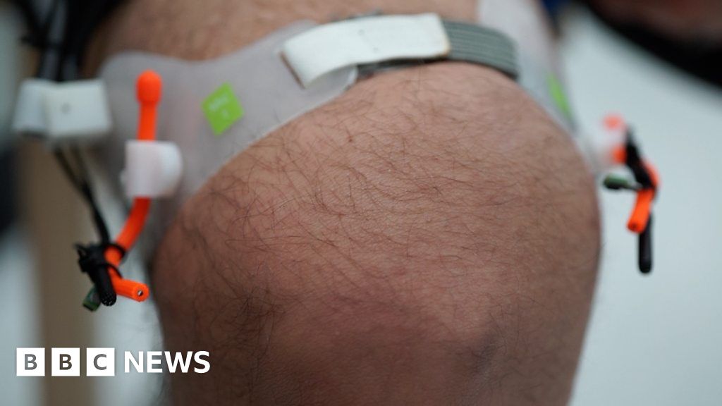 What does your knee sound like inside?