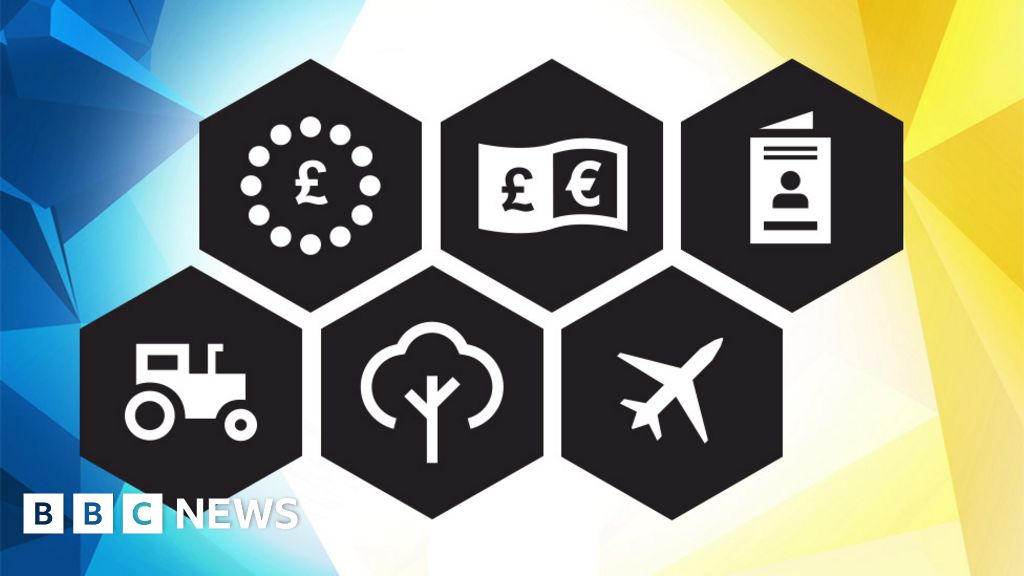 EU referendum issues guide: Explore the arguments - BBC News