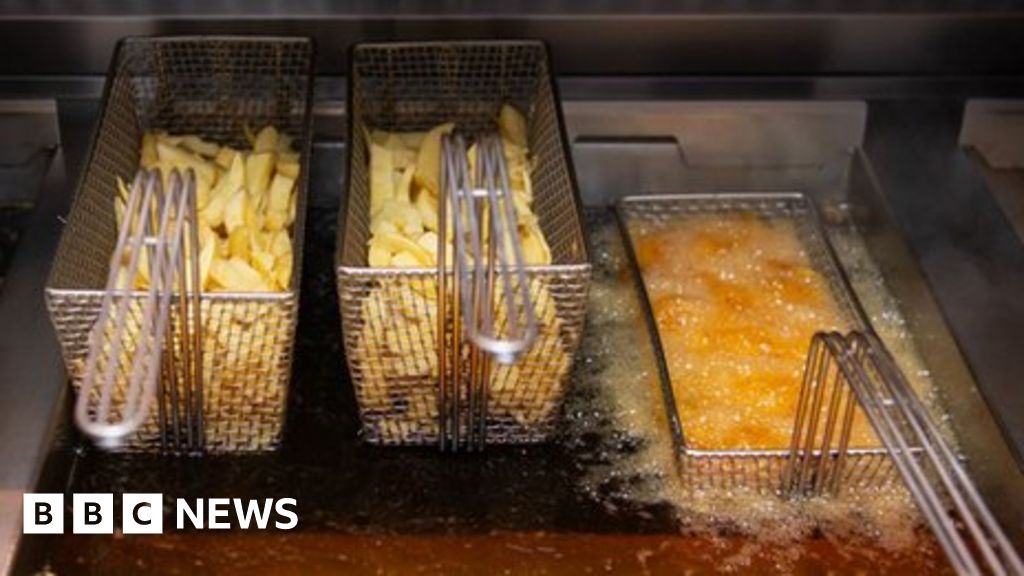 Climate change: Growing doubts over chip fat biofuel - BBC News
