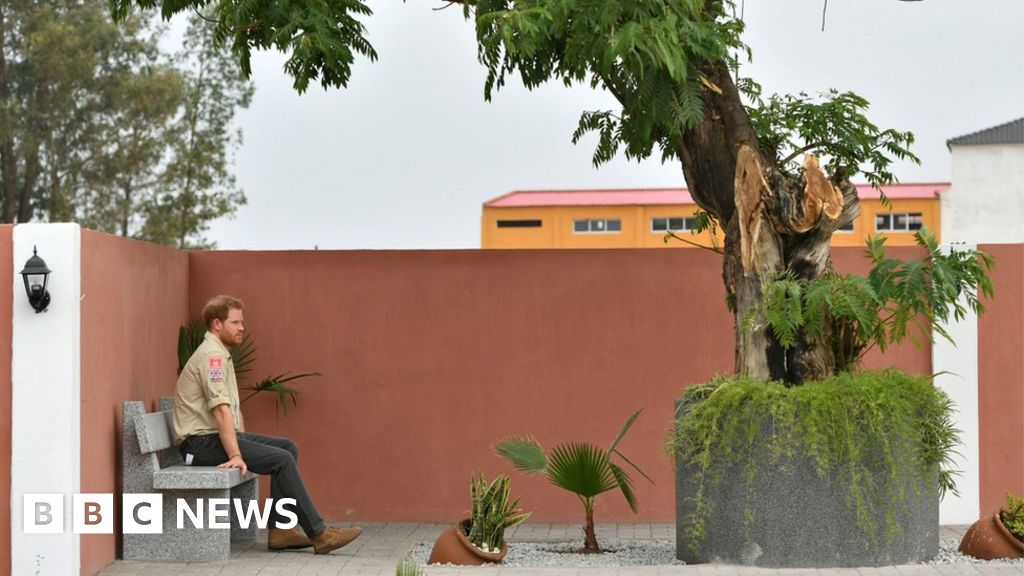 Harry walks through Angola minefield 22 years after Diana