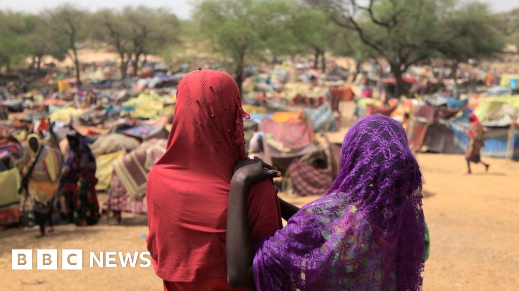 Sudan Darfur crisis: 'Everything civilians can use has been burned or destroyed'
