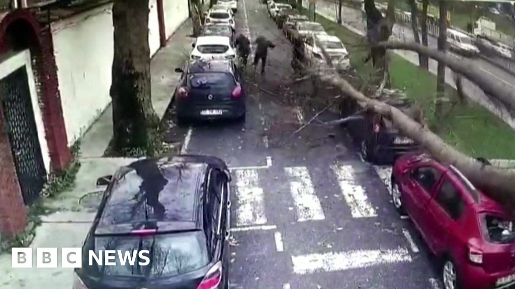 CCTV shows narrow escape from tree in Turkey