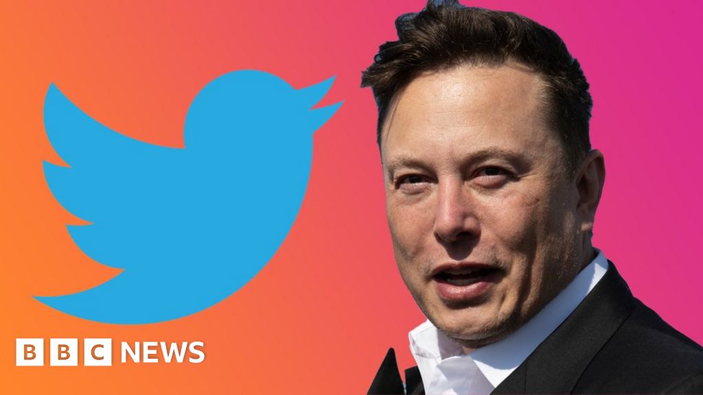 Elon Musk at Twitter: Who could replace him as chief executive?