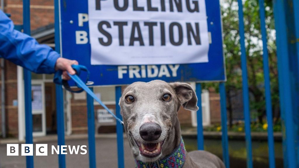 In Pictures: Dogs at polling stations