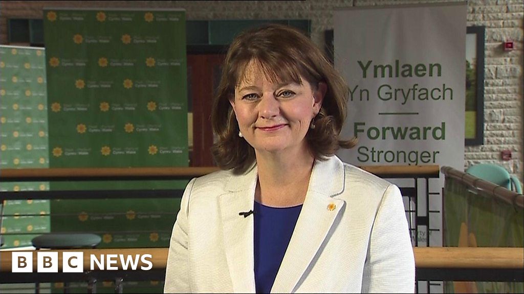 Plaid Cymru Conference: Leanne Wood On Welsh Budget - BBC News