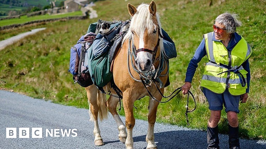 Veteran Hexham horsewoman honoured by British Horse Society BBC News