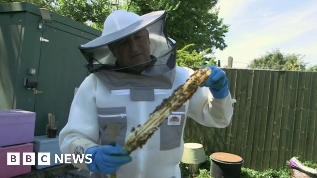 New Years Honours Gloucestershire beekeeper praised