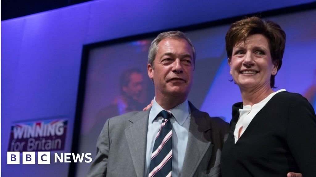 Diane James Becomes Ukip Leader Bbc News