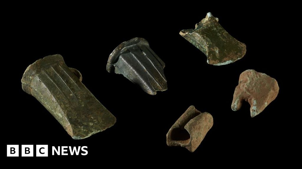 Metal detectorists' finds in Wales declared as treasure BBC News