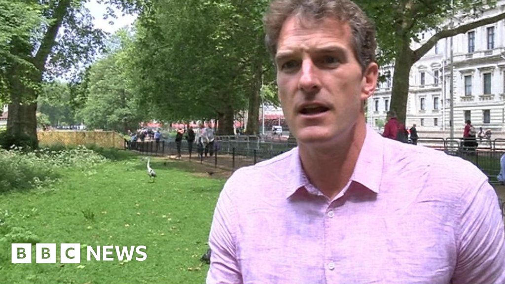 Dan Snow Admits Election Leaflet Tweet May Have Been Mistake Bbc News