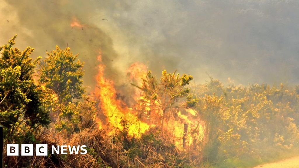 Pirbright: Warning After Two-day Scrubland Fires