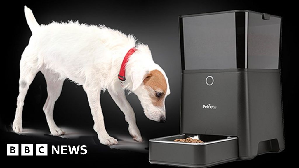 Pets Left Hungry As Smart Feeder Breaks Bbc News