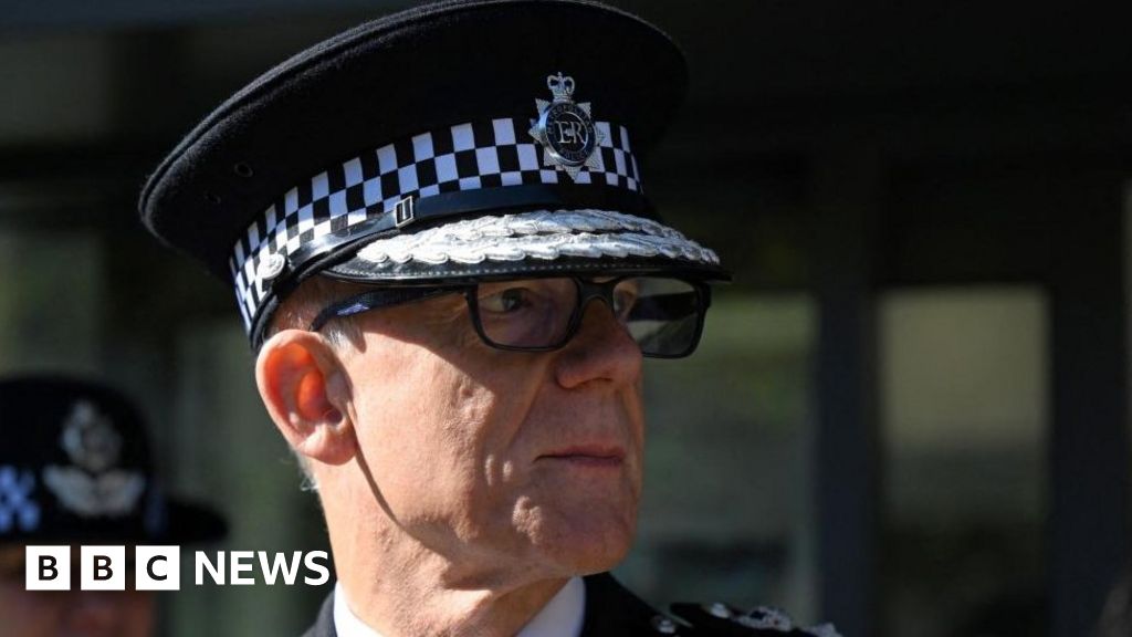 Public sector strikes could stop police fighting crime, Met chief says