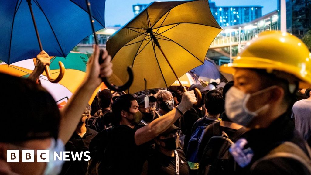 Hong Kong protests: Fresh rallies after violence at border