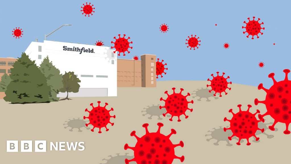 Coronavirus in Smithfield pork plant: The untold story of America s largest outbreak