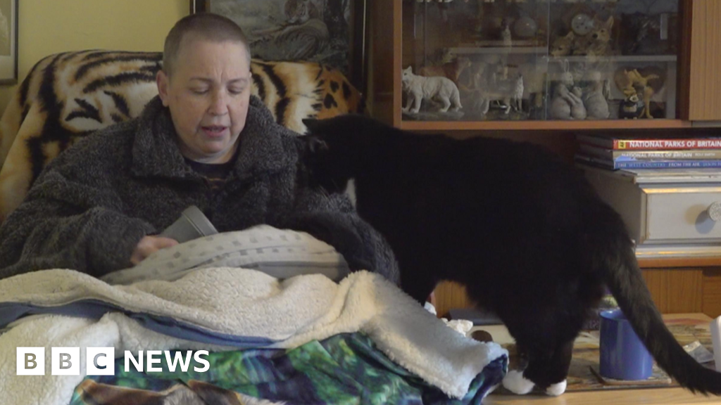 Cost of living: Woman puts cat down jumper to keep warm