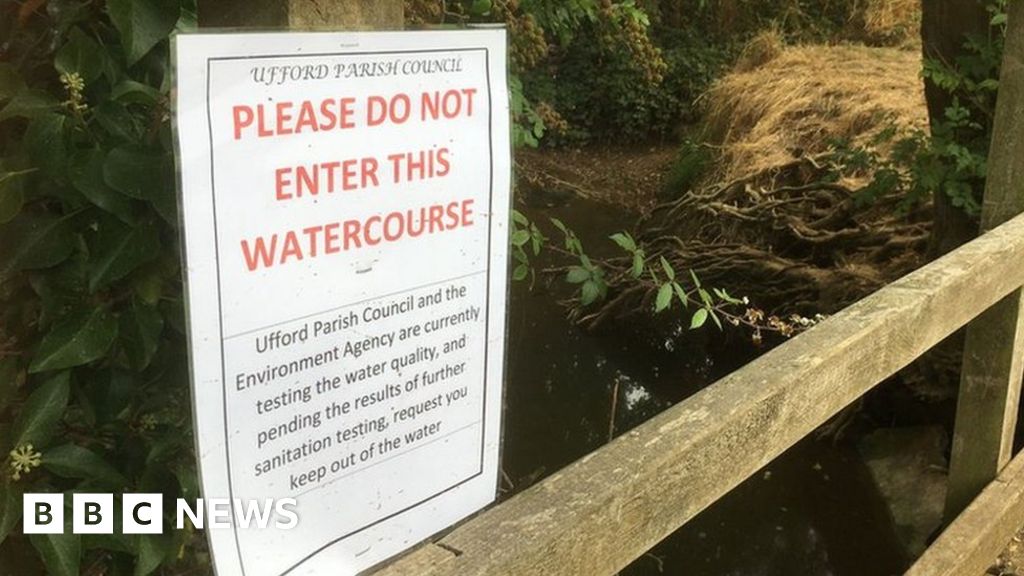 E. coli warning at Suffolk's River Deben swimming spot 