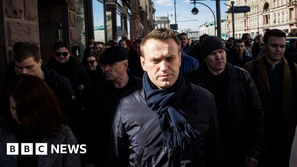 Navalny: Russian opposition leader moved to solitary confinement