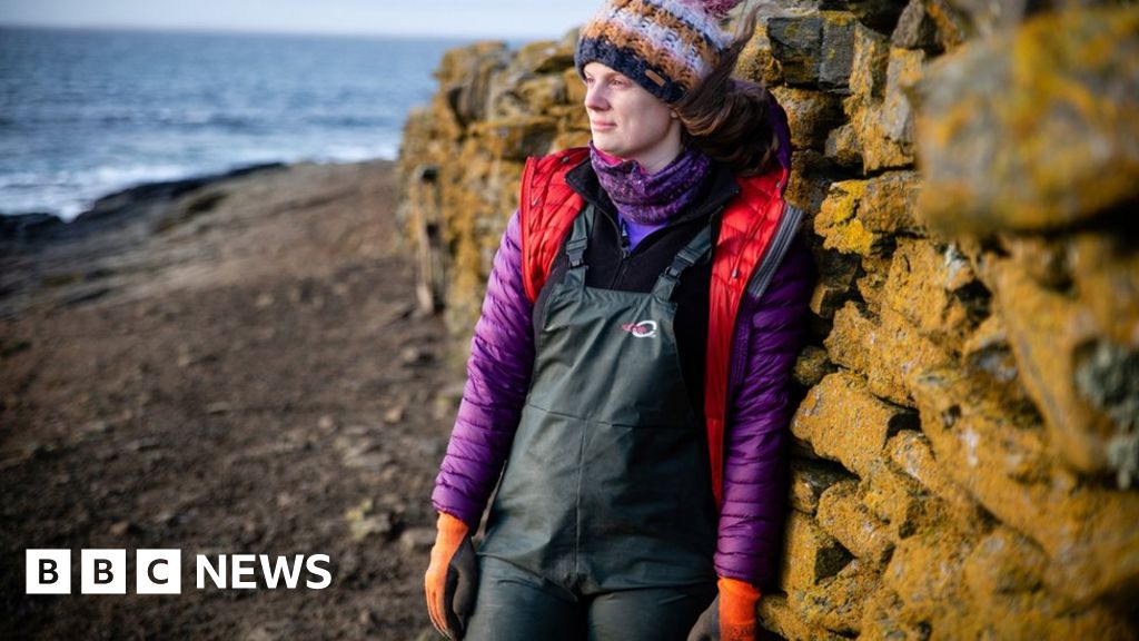 The woman who will help keep the water plant eating sheep on Orkney beach