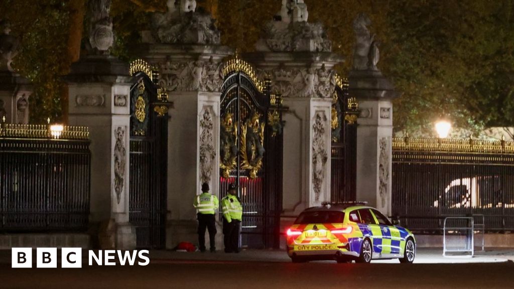 Před Buckinghamským palácem je zatčen muž