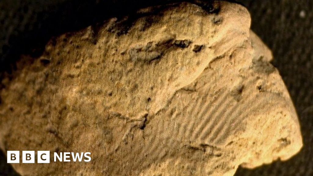 Prehistoric pottery fingerprints 'left by two men' - BBC News