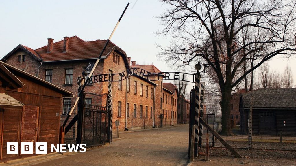Naked Auschwitz Demonstrators Who Killed Sheep Convicted Bbc News 