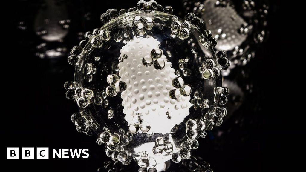 Virus glass sculpture exhibition opens in Bristol BBC News
