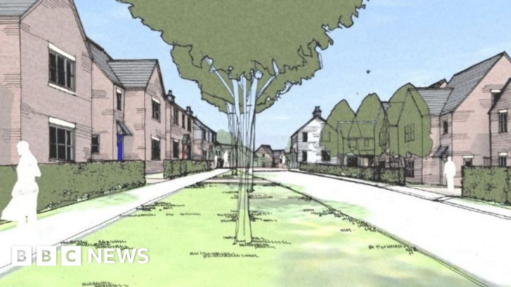 Support letters for new Felling homes 'fake'