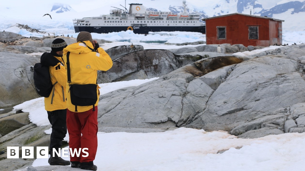 Antarctica: Invasive species 'hitchhiking' on ships