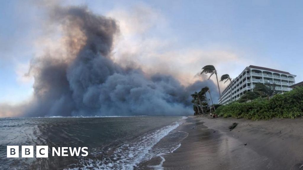 Тъй като мащабът на унищожението от пожара в Мауи става