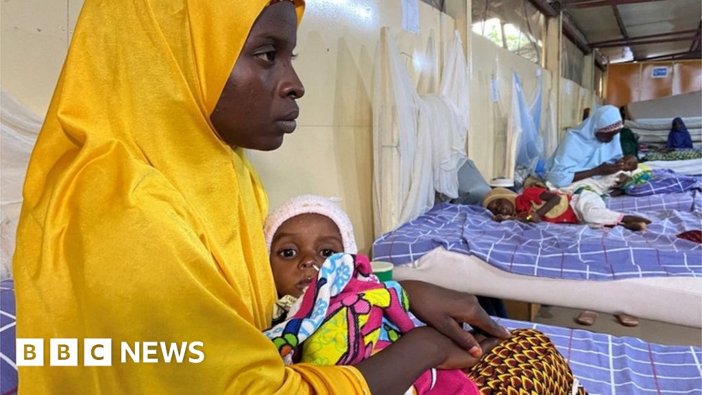 Nigeria Boko Haram crisis: Women walking for miles to save their children’s lives