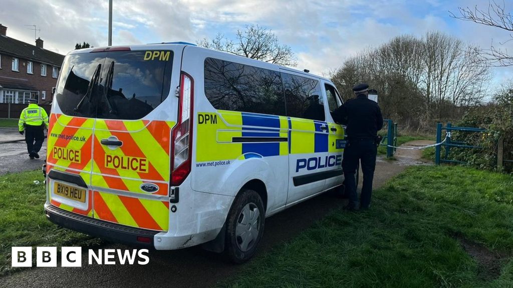 Hillingdon murder inquiry: Police arrest teenager over stabbing