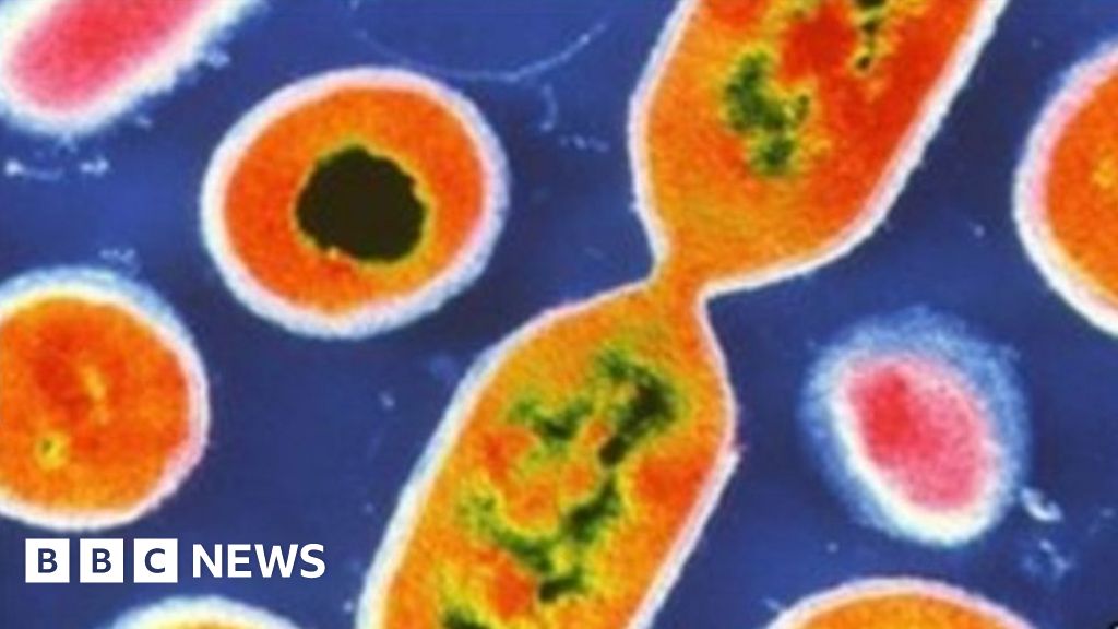 Superbug Find Renews Hope For Antibiotic Treatment - BBC News