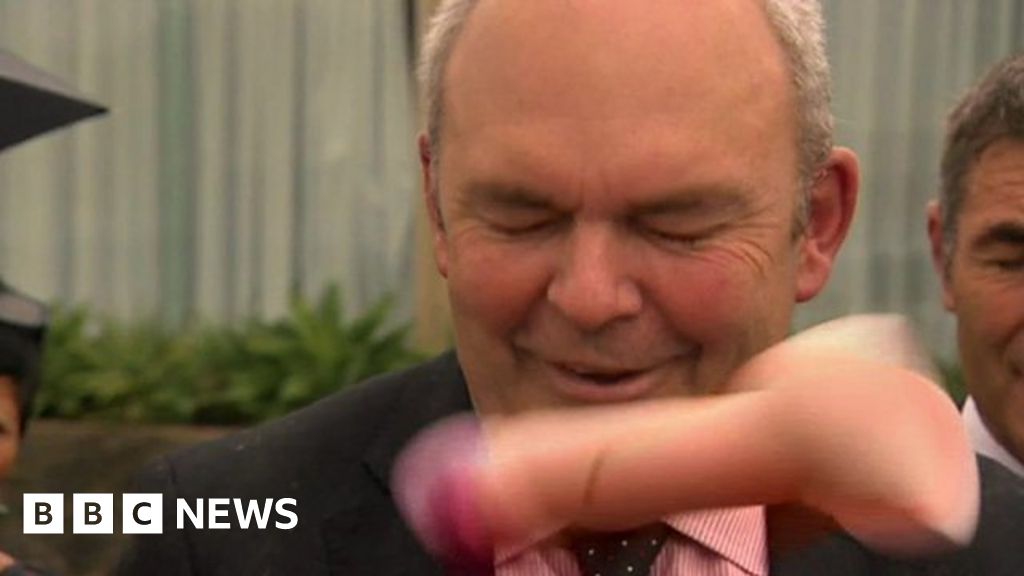 Politician hit by flying sex toy in New Zealand BBC News