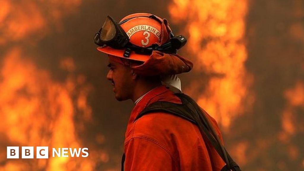 The Prisoners Fighting Wildfires In California Bbc News