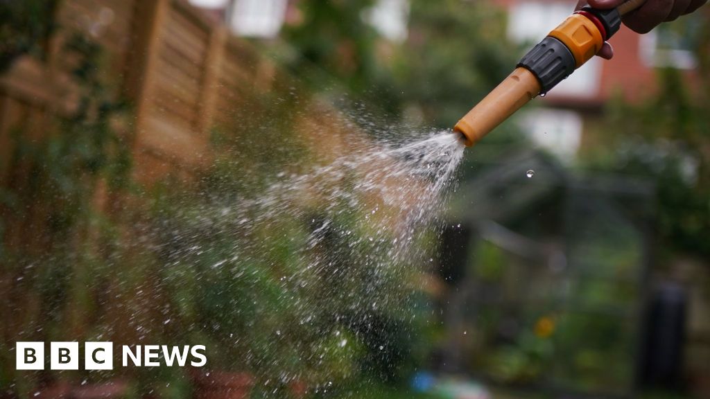 Hosepipe ban possible for millions across London Thames Water
