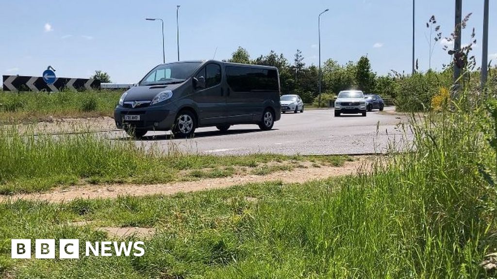 Norwich: Overgrown grass verge sparks roundabout safety fears