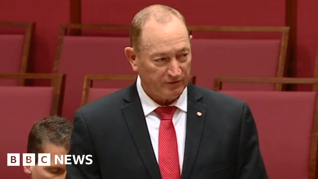 Fraser Anning Australia Mps Condemn Final Solution Speech Bbc News