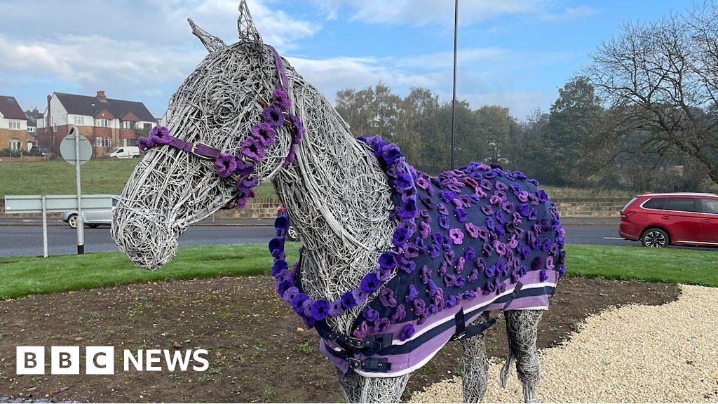 Purple poppy coat pays tribute to animals who died in conflict - BBC News