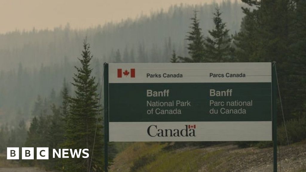 Агресивна мечка гризли уби двама души в канадския национален парк