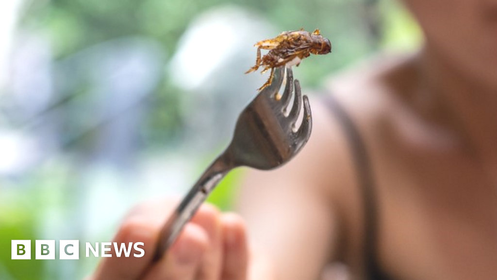 Lab-grown meat and insects ‘good for planet and health’