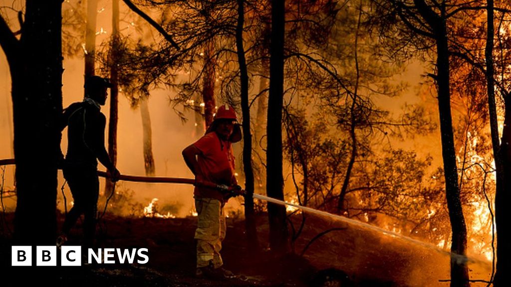 Turkey wildfires: Eight dead as blazes sweep through tourist resorts